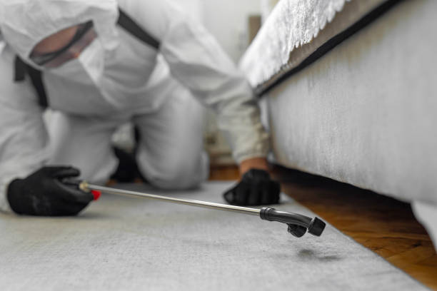Professional Bed Bug Control technician working in Milton, NY